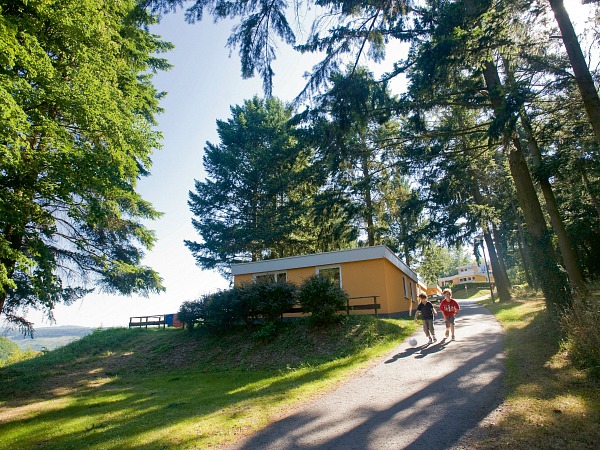 Kinderen rennen over het pad onder de bomen op het mooie vakantiepark Landal Mont Royal met zwembad in Duitsland!