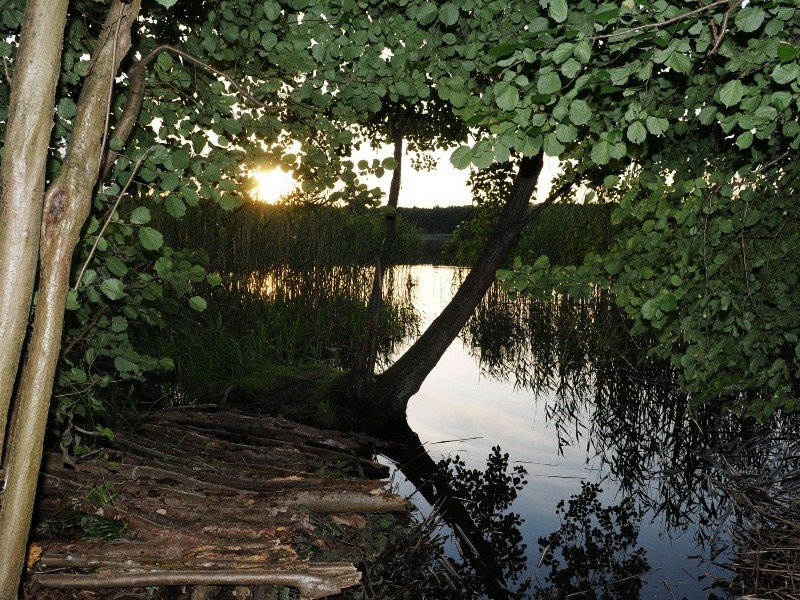 Moerassen en meren