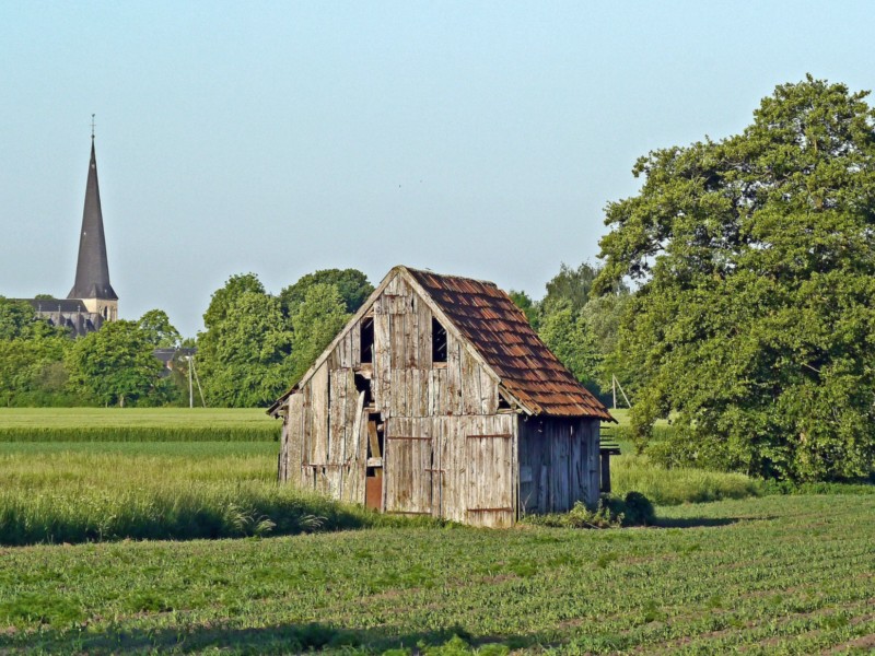 Typisch landschap in het Münsterland