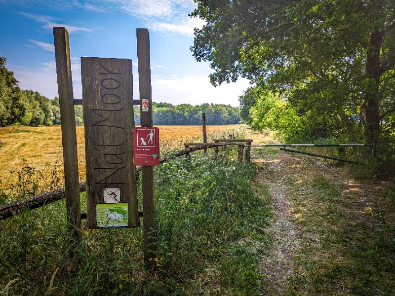 Door bossen en langs weilanden, en dan terug na't Moor
