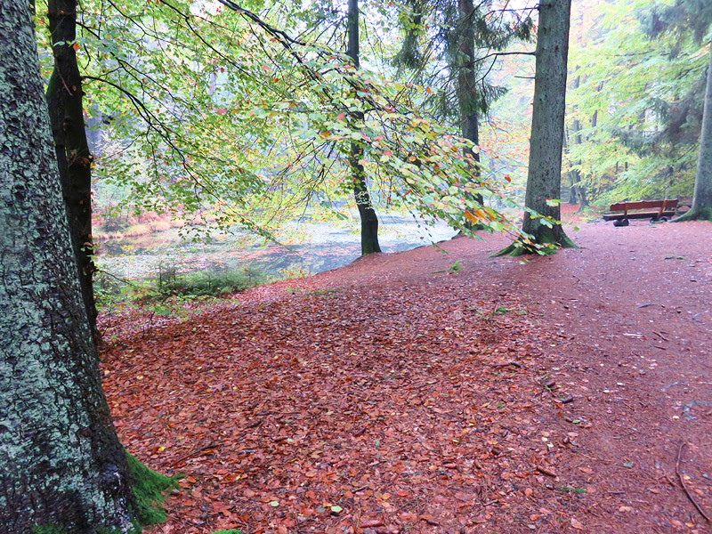 Mooie natuur op de Lüneburger Heide