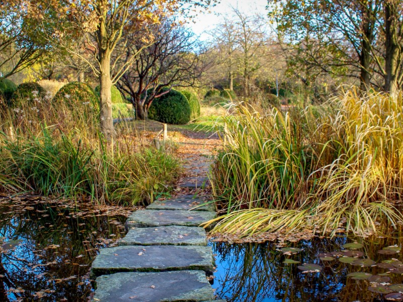 Een mooi stukje natuur bij Mülheim an der Ruhr