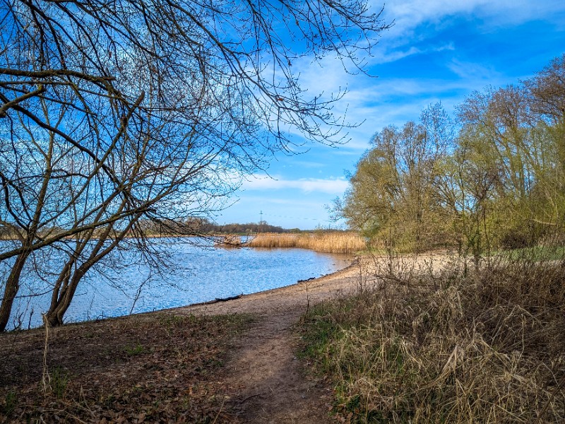 Natuurgebied de Hoge Elbeoever