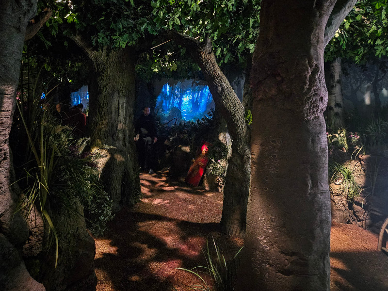 Sluipen door het bos in het Deutschlandmuseum