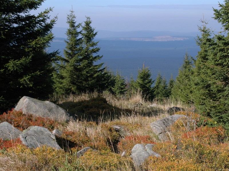 Zicht op de Okertalsperre vanaf de bergen van de Harz