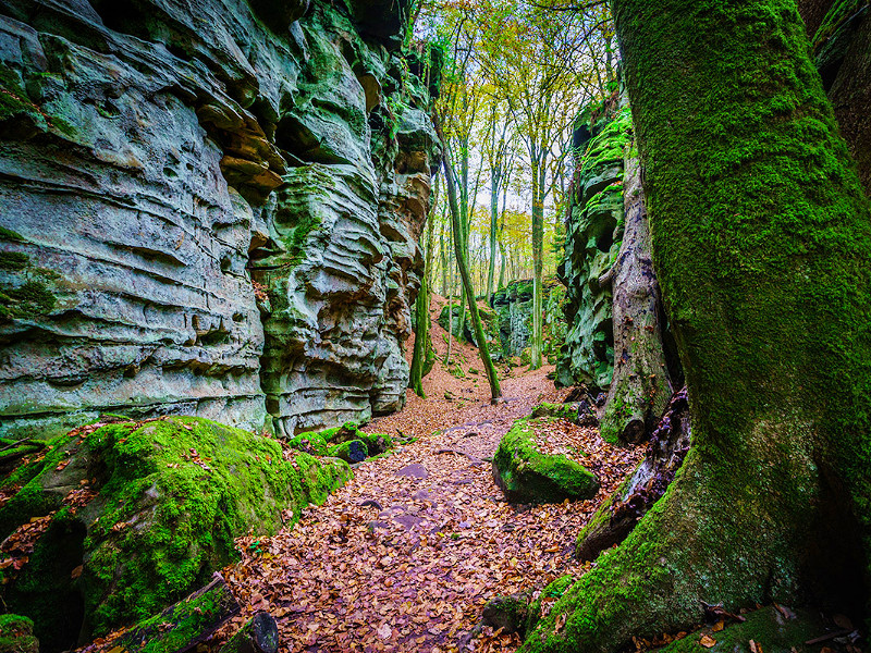 De prachtige natuur in de Eifel