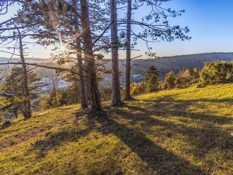 Heerlijk wandelen over de Panoramaweg Altmühltal