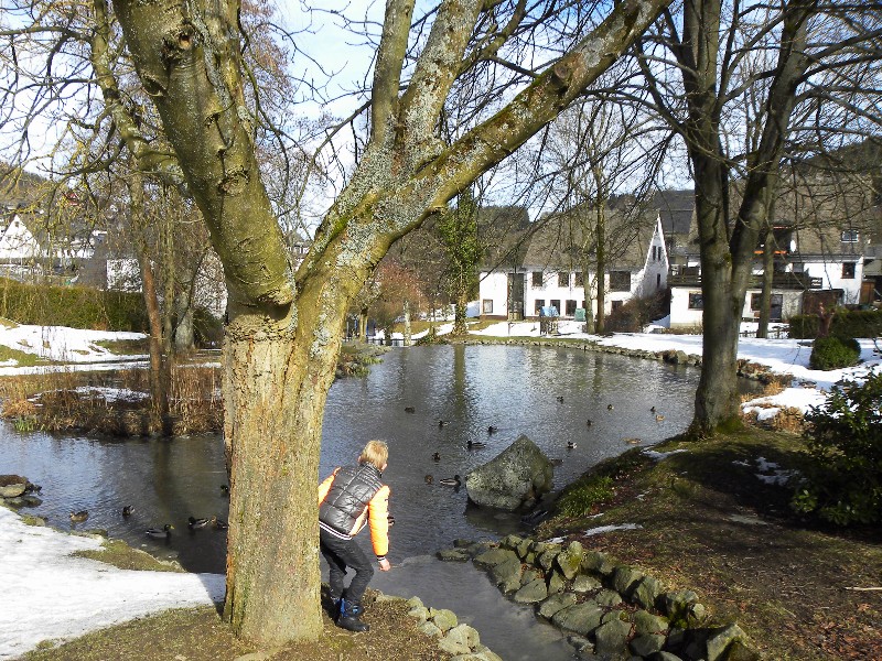 Het leuke parkje met sneeuw in Willingen