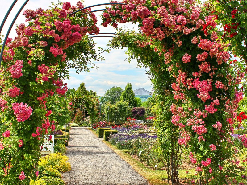 Het Rosarium in Sangerhausen