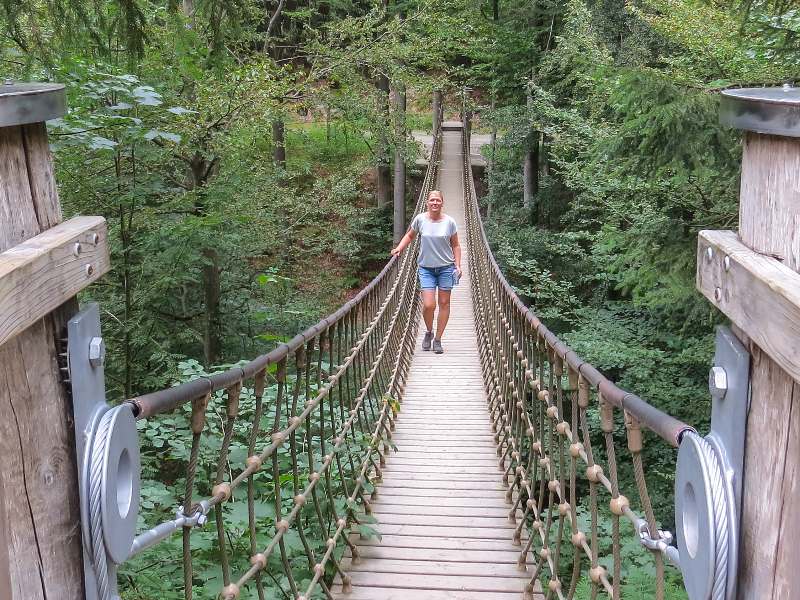 De brug op de Rothaarsteig in het Duitse Sauerland, nabij Schmallenberg