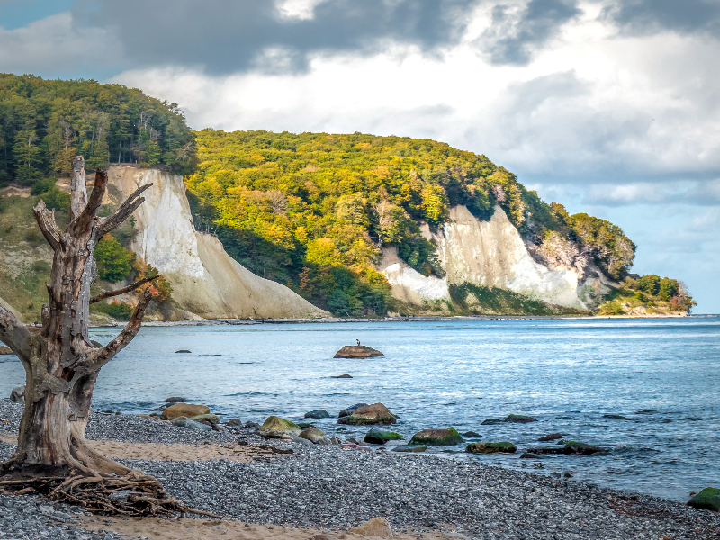 De witte krijtrotsen van het Nationaal Park Jasmund op Rügen in Duitsland