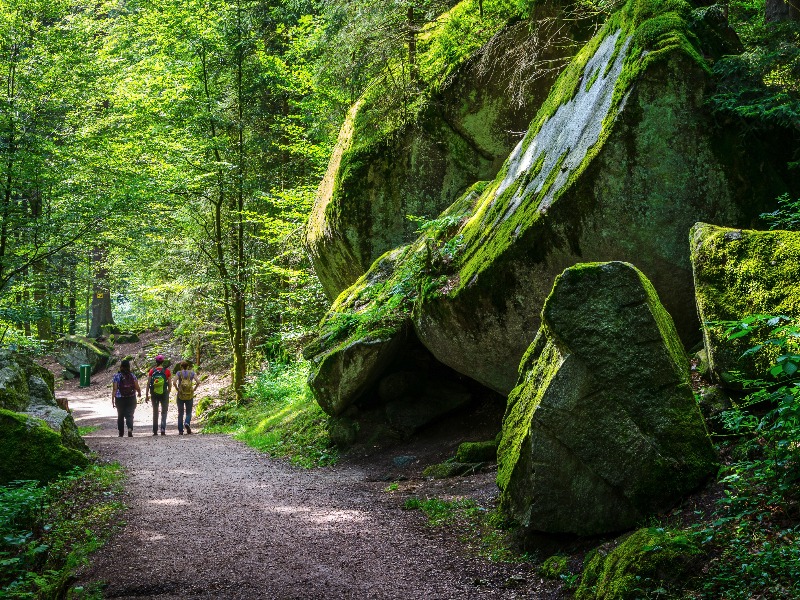 Wandelen in de omgeving van Triberg