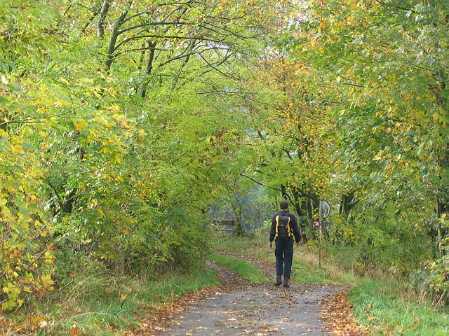 Wandelvakantie in de Eifel