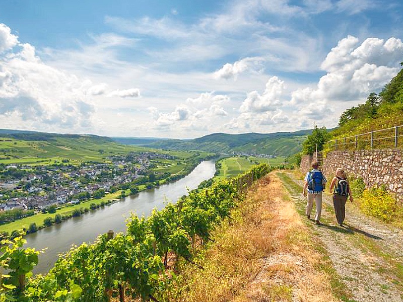 SNP Wandelreis Moselsteig 6 dagen 