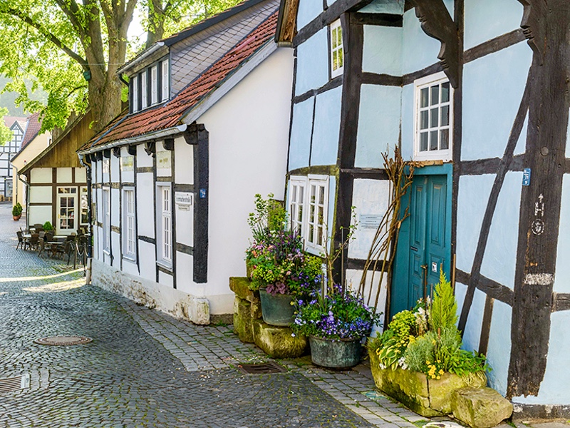 SNP Wandelreis Teutoburger Woud 3 dagen