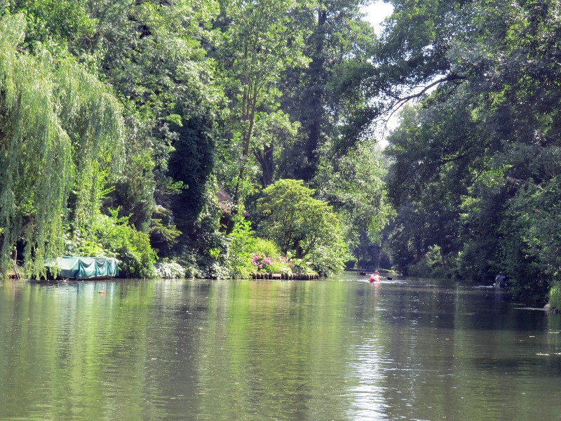Een prachtige natuur in het Spreewald
