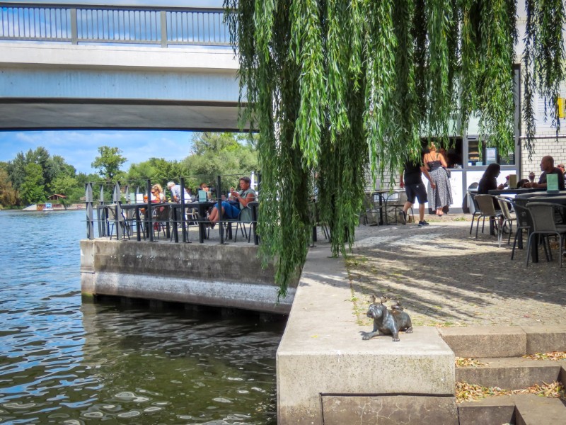 Een Waldmops geniet van het terras onderaan de Jahrtausendbrücke