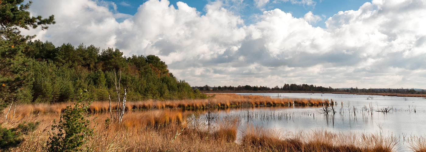 UItzicht over water en moeraslandschap van Teufelsmoor in Duitsland