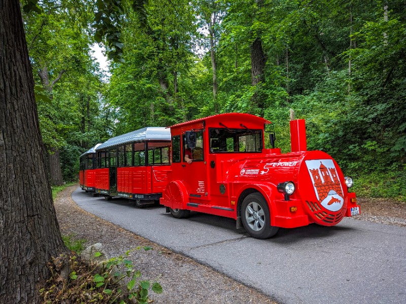 Het toeristentreintje van Wernigerode op de weg omhoog