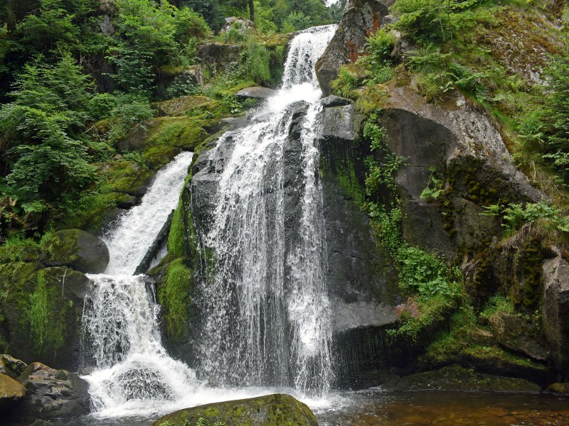 Bossen, bergen, en de Triberg watervallen in het Zwarte Woud