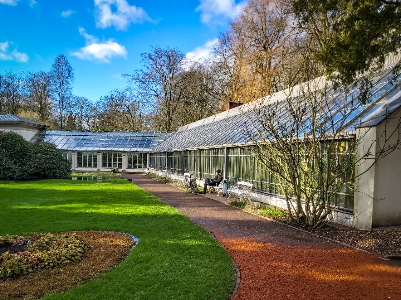 De tropengas in de schlossgarten