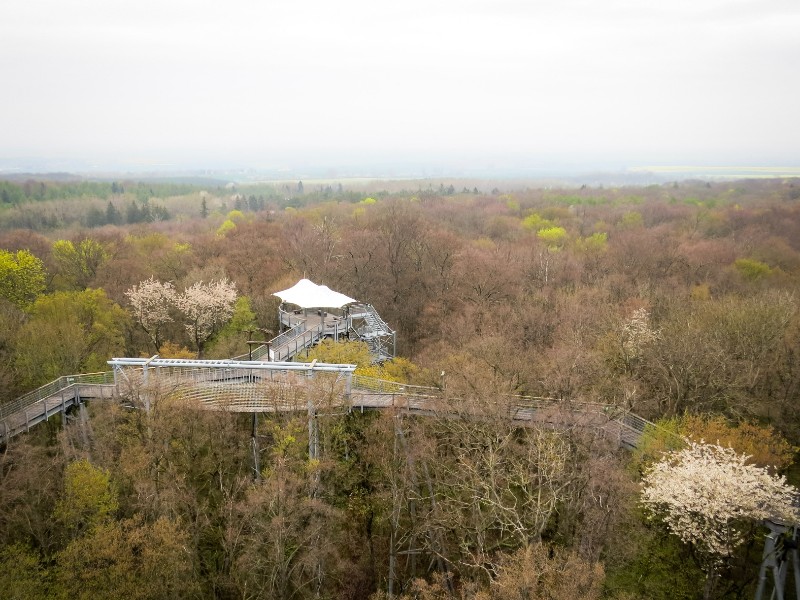 Uitzicht over Hainich NP bij het Boomkroonpad