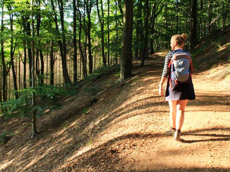 Wandelvakantie in het Teutoburgerwoud