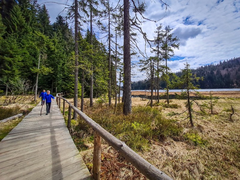 Wandelen rond de Grosser Arbersee