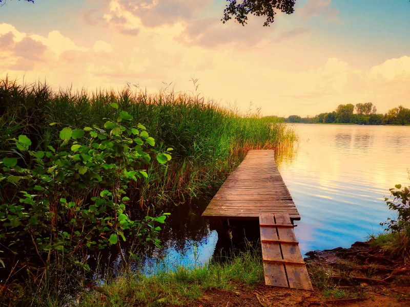 Een zwemplaats bij de Wandlitzer See