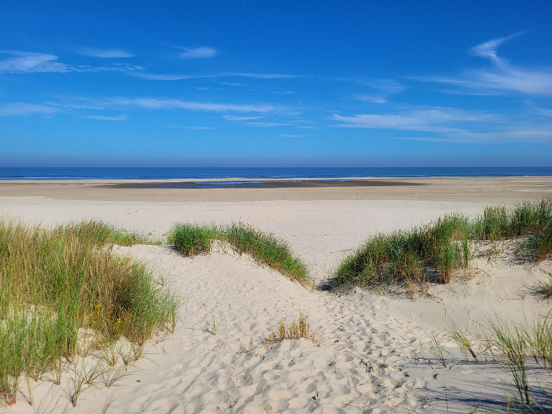Het prachtige strand van Wangerooge