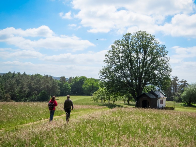 Wandelen over de bergweiden van het Räuberland