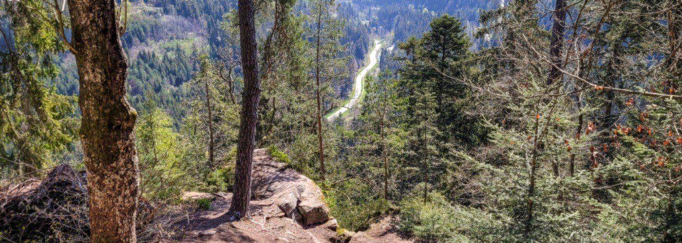 Uitzicht bij de Wolfsgrube wandeling in het Zwarte Woud